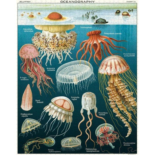 Jellyfish - 1000 Pieces Puzzle