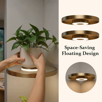 🔥Limited time 70% OFF - 🌟Floating Wall Shelf with Built-in Ambient LED Light&USB Charging🌲