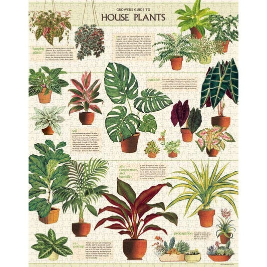 House Plants - 1000 Pieces Puzzle