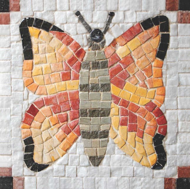 Butterfly Mosaic Art Craft