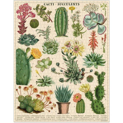 Succulents - 1000 Pieces Puzzle