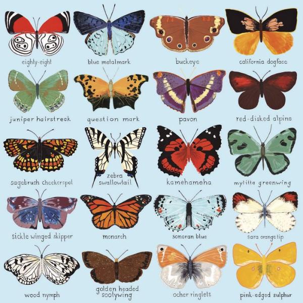 Butterflies of North America - 500 Pieces Puzzle