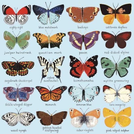 Butterflies of North America - 500 Pieces Puzzle