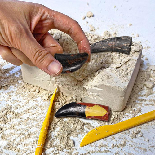 T-Rex Tooth Adventure Dig Kits