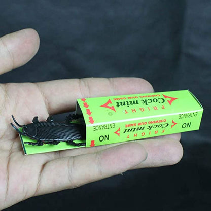 Super Funny Crazy Prank Gift Box Spider