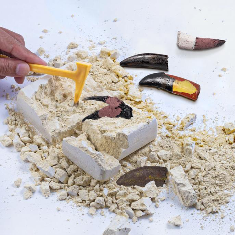 T-Rex Tooth Adventure Dig Kits