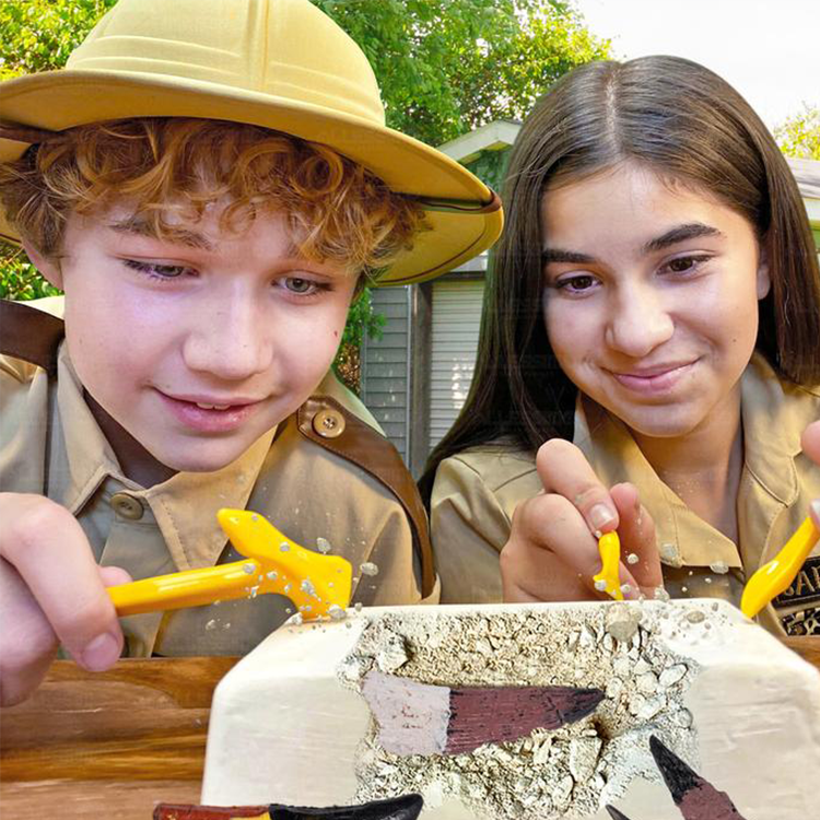 T-Rex Tooth Adventure Dig Kits