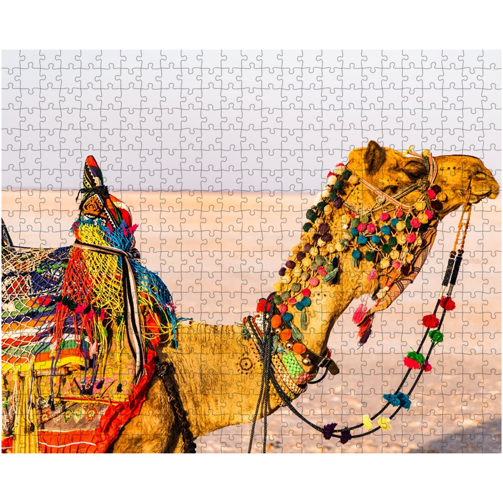 Colorful Camels Of India - 500 Pieces Puzzle