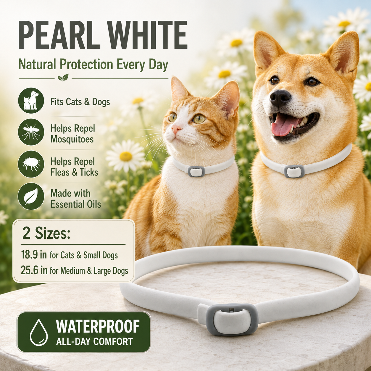 🐶 Single Collar — Try It Out