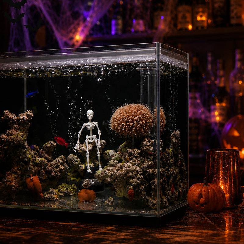 🔥LAST DAY 70% OFF - 🎃 Haunted Aquarium Skeleton Ornament 💀 Halloween Fish Tank Decor