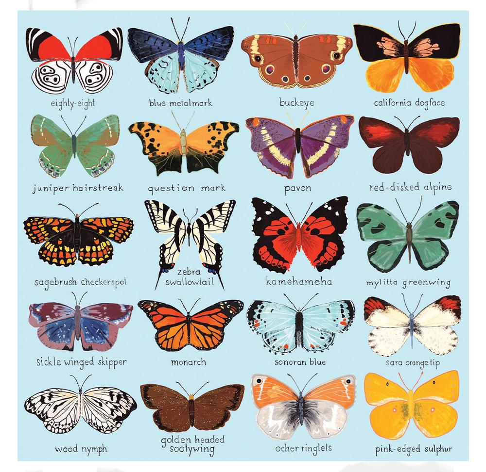 Butterflies of North America - 500 Pieces Puzzle