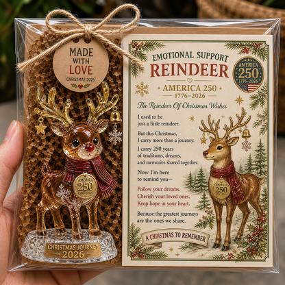 ⭐❤️ America 250™ Christmas Memory Pocket Hug Collection